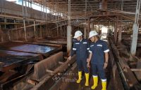 Laba Bersi TINS Tembus Rp1,31 Triliun