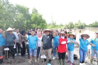 Gubernur Pimpin Aksi Sosial dan Penanaman Mangrove di Pesisir Pantai Ketapang