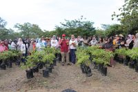 Program GENCAR 2026 Pemprov Babel Bantu Warga dan Tekan Inflasi
