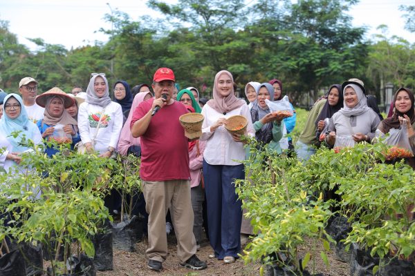 Gubernur Babel Pimpin Panen Cabai GENCAR 2026 untuk Jaga Stabilitas Pangan