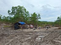 Tambang Timah di Kawasan Hutan Produksi Ditertibkan Polisi