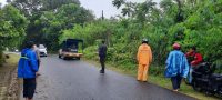 Pohon Tumbang Dibersihkan, Akses Jalan Kembali Terbuka