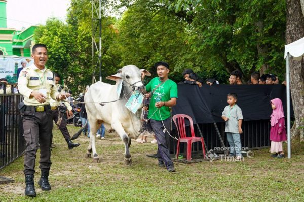 Kepala Daerah Apresiasi PT Timah Konsisten Berbagi