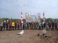 Lahan Eks Tambang Ditanam Bibit Pohon Produktif