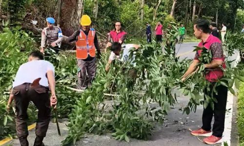 WhatsApp Image 2026-06-12 at 16.10.11