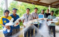 PT TIMAH Serahkan Bantuan Jaring Ikan untuk Nelayan Sawang