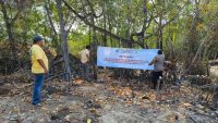 Kawasan Mangrove Dipasang Spanduk Larangan Menambang