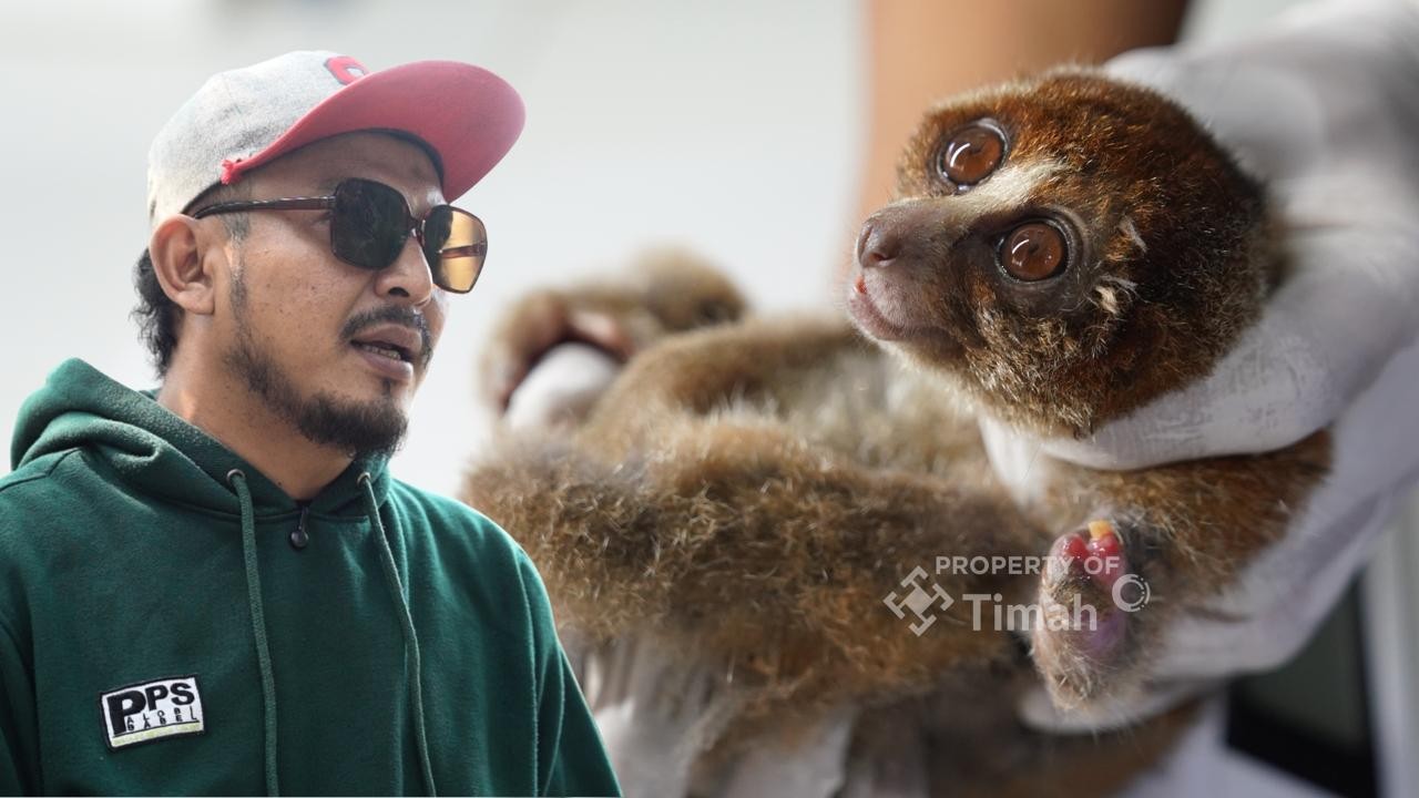 Karhutla Ancam Satwa Liar di Bangka Belitung
